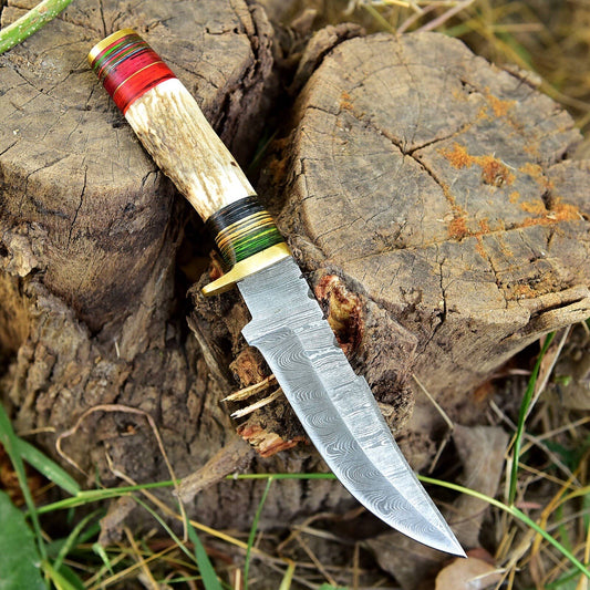 10" Handmade Damascus Skinning Hunting Fix Blade Knife Stag Antler & Brass Guard - Image 2