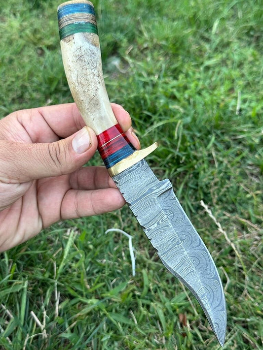 10" Custom Handmade Damascus Steel Hunting Skinning Knife Deer Stag Handle - Image 1