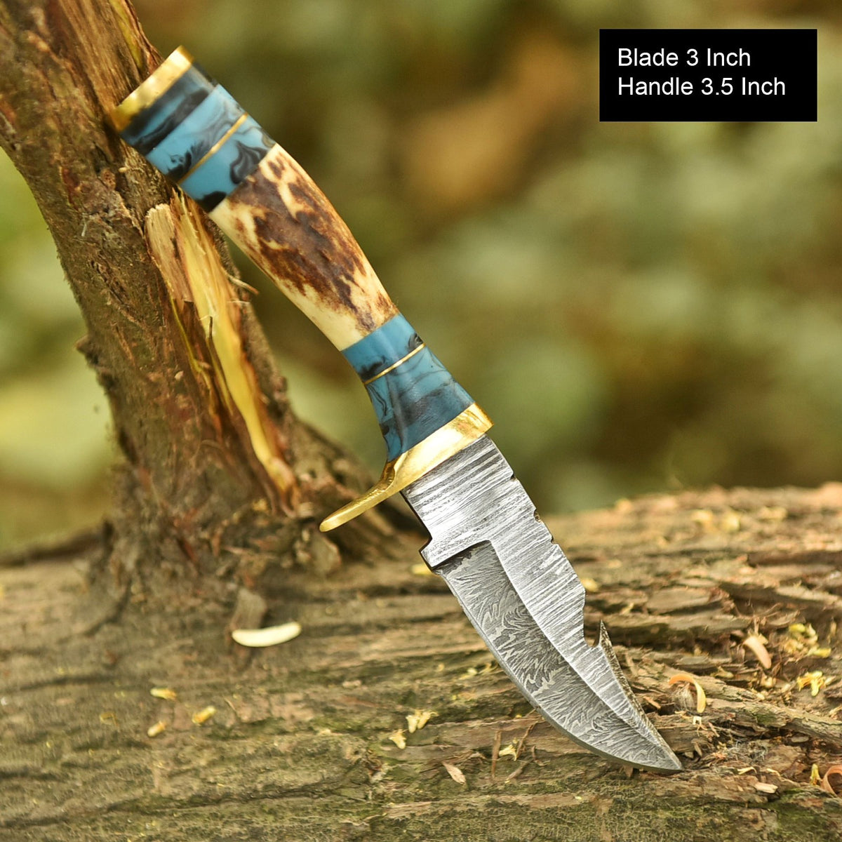 Damascus Blade Skinning Knife Stag Antler Turquoise Handle Brass Guard Sheath - Image 3