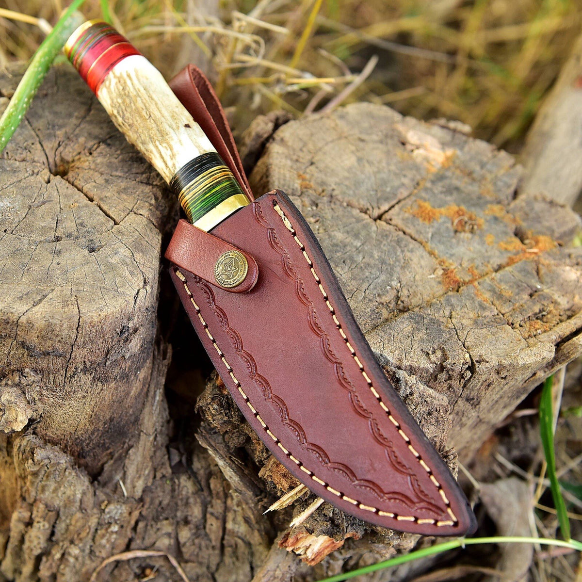 10" Handmade Damascus Skinning Hunting Fix Blade Knife Stag Antler & Brass Guard - Image 5